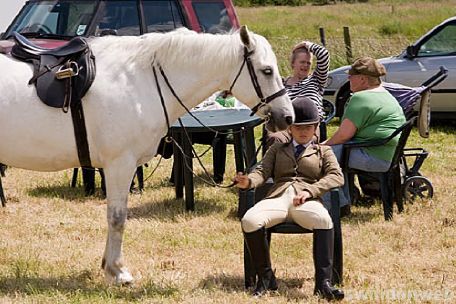 Wanborough Horse and Dog show